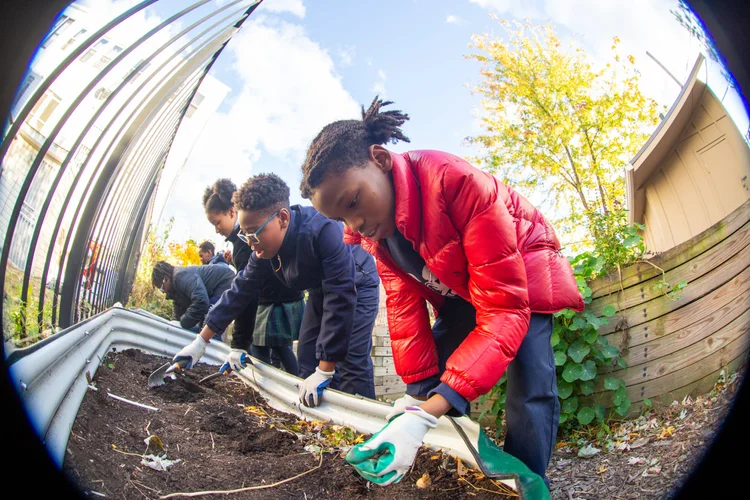 Afterschool // Garden